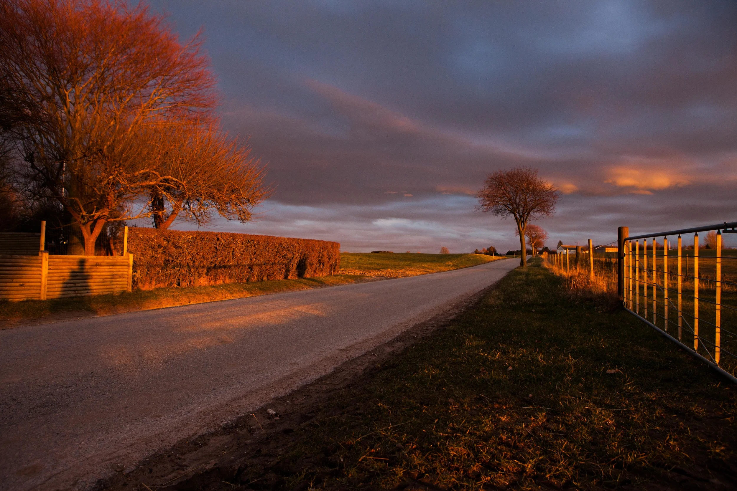 Tolstrup, Denmark / 2015