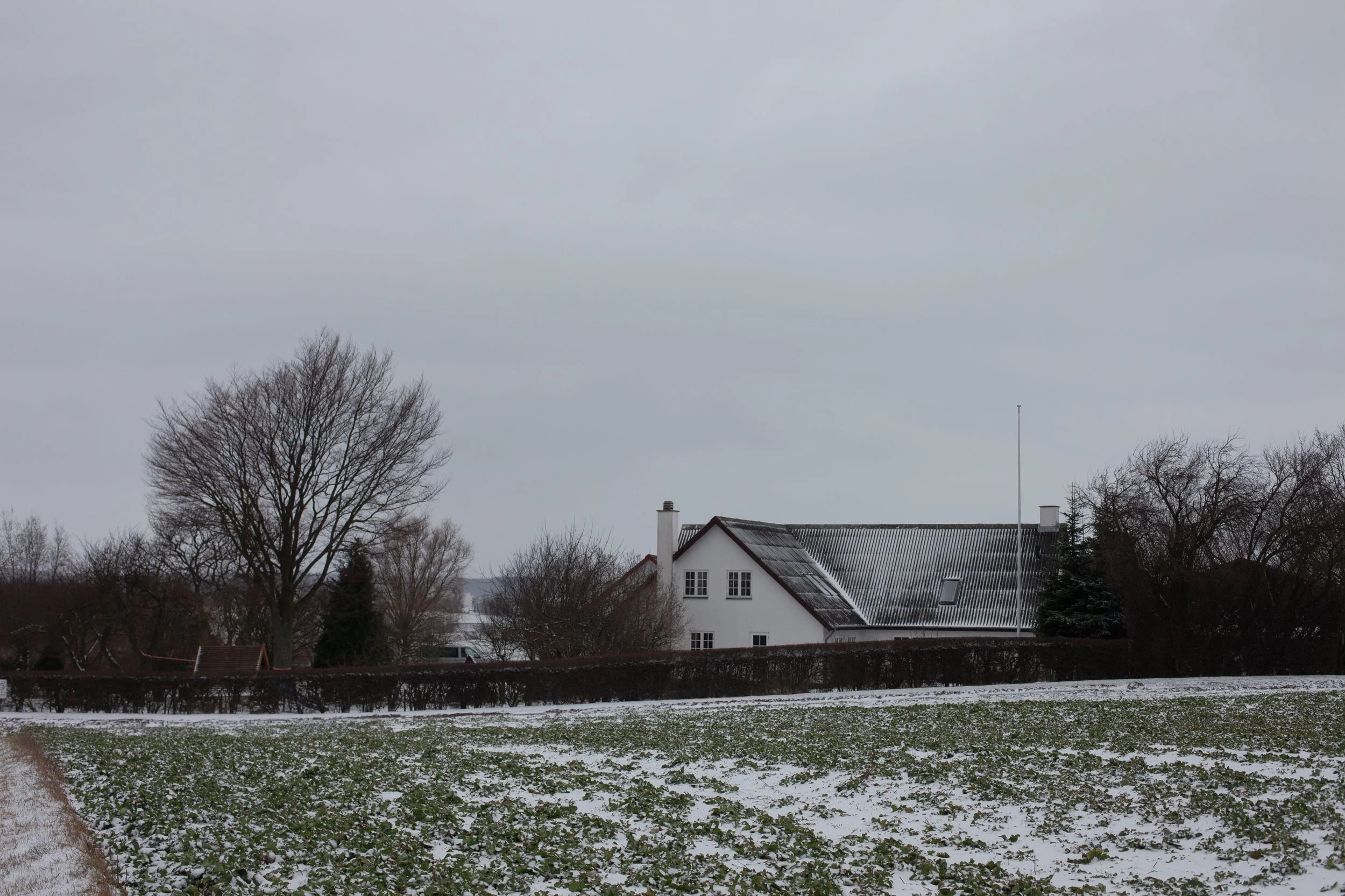 _MG_9350.JPG