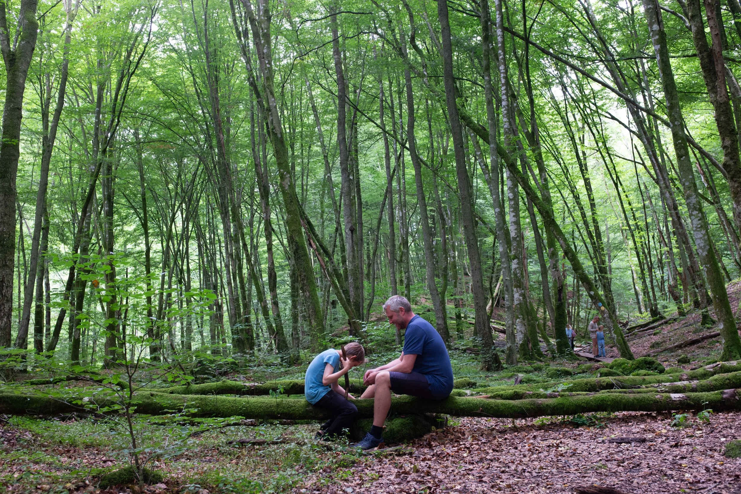 DSCF1681.JPG