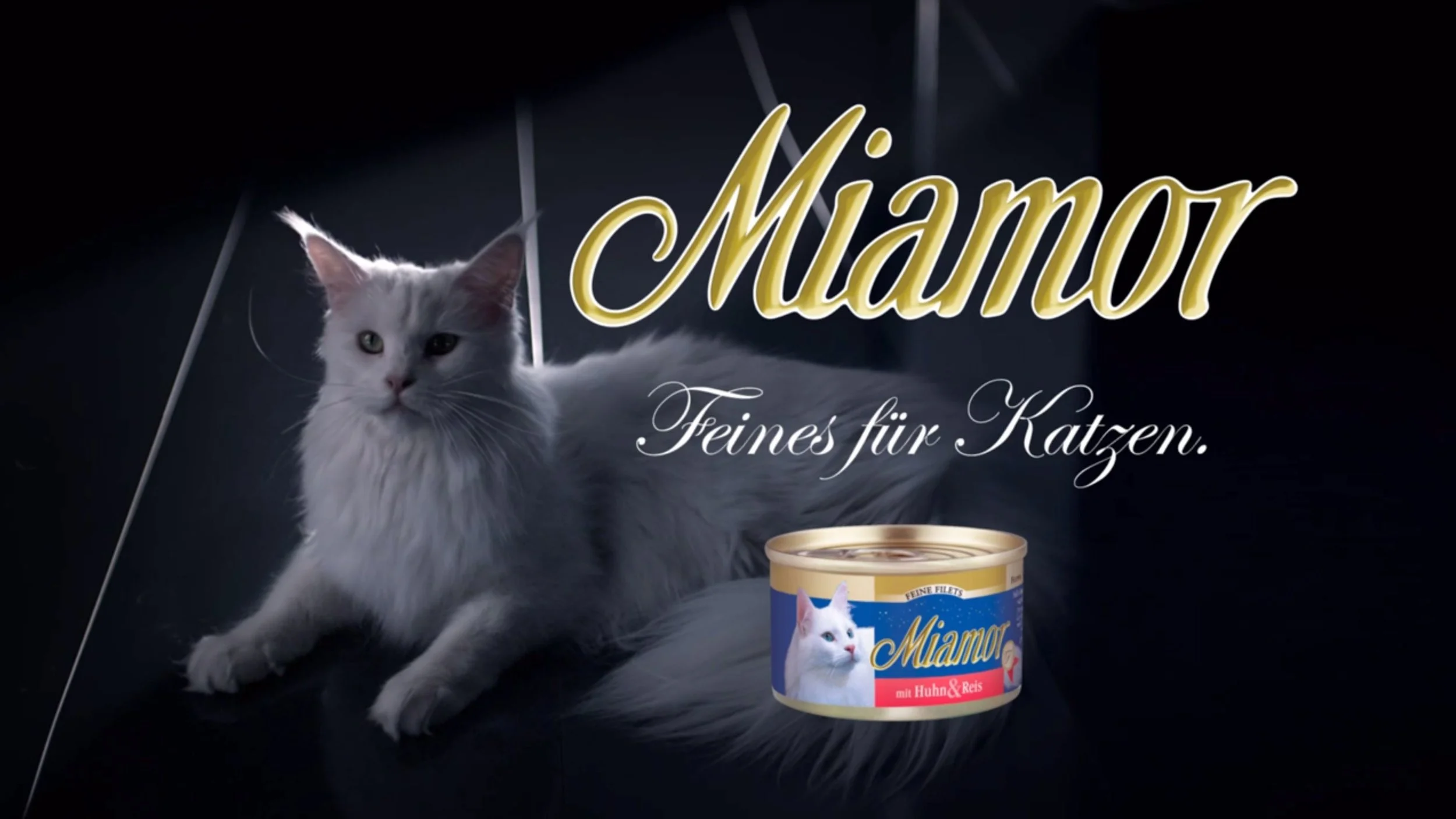 Neuer Spot für Miamor