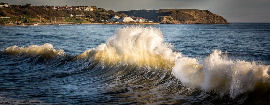 Learning to ride the waves
