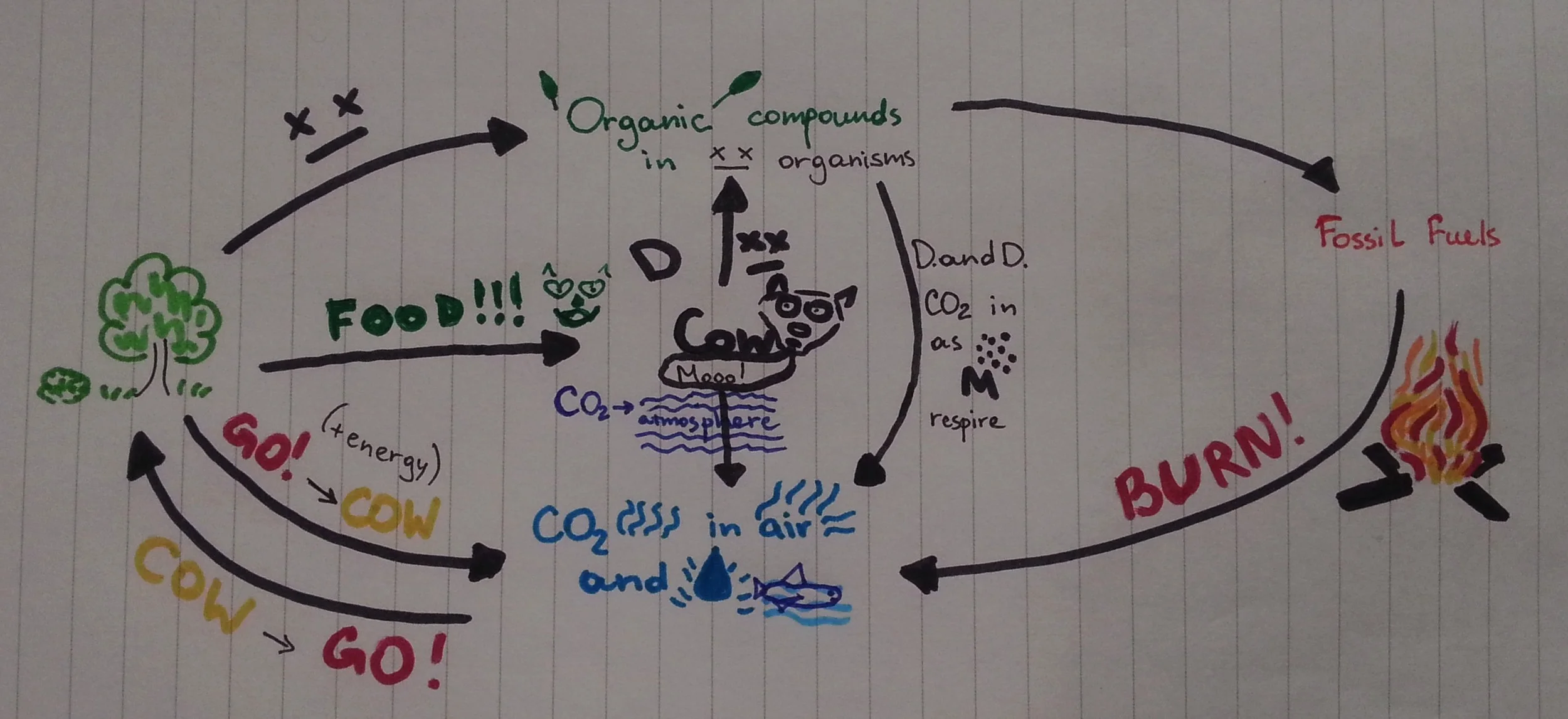 Get More Out Of Your Revision Notes