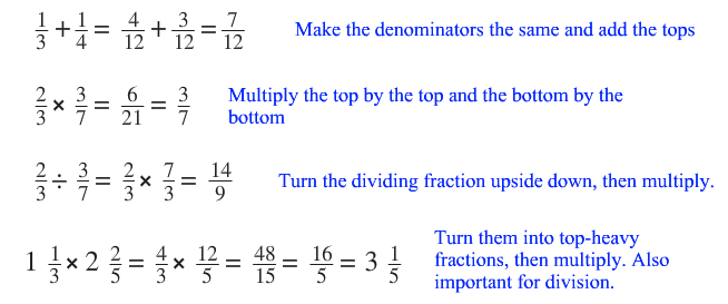 fraction facts