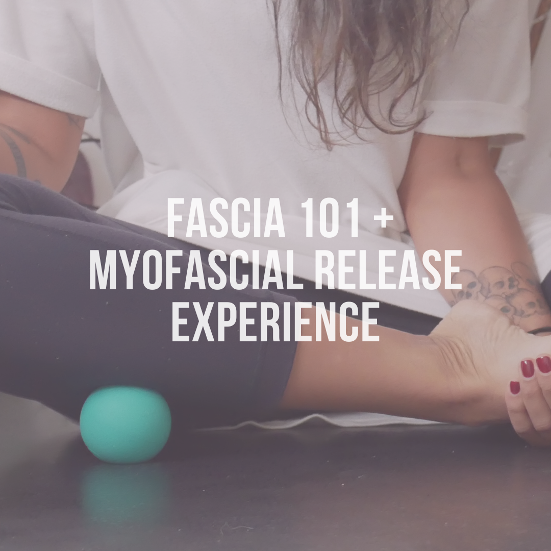 What is Fascia?