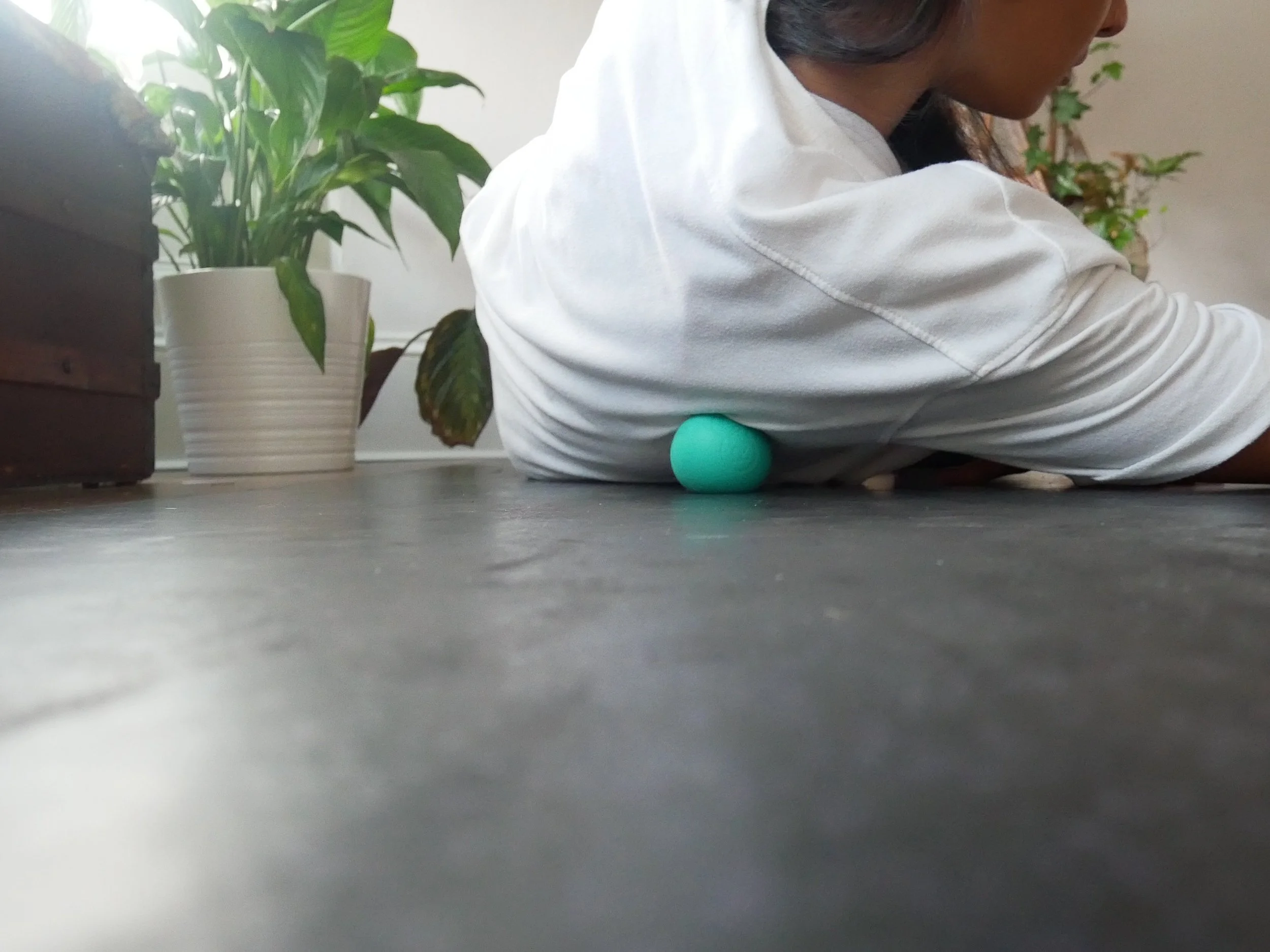 Myofascial Release and Range of Motion 