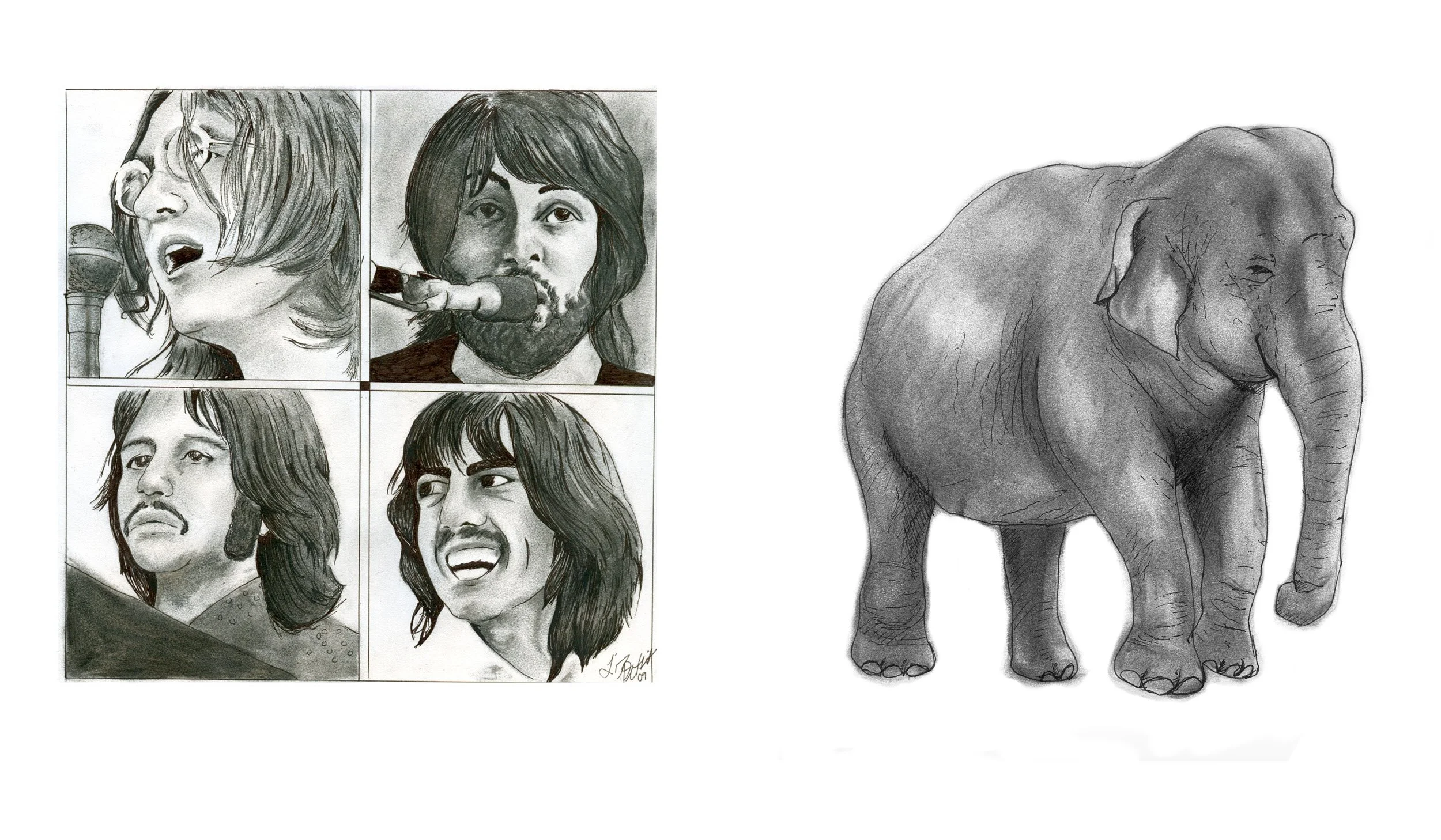  Charcoal + Ink Drawings 