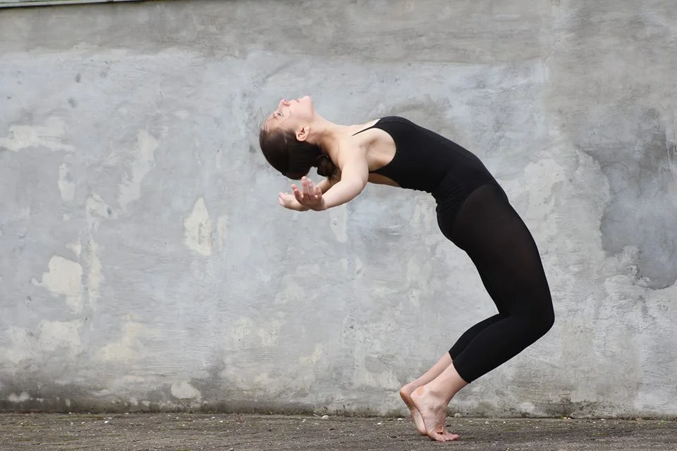 FACC Dance &amp; Networking Event 