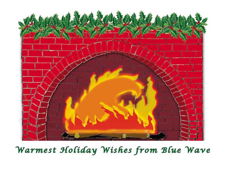 Blue Wave Consulting Holiday Card