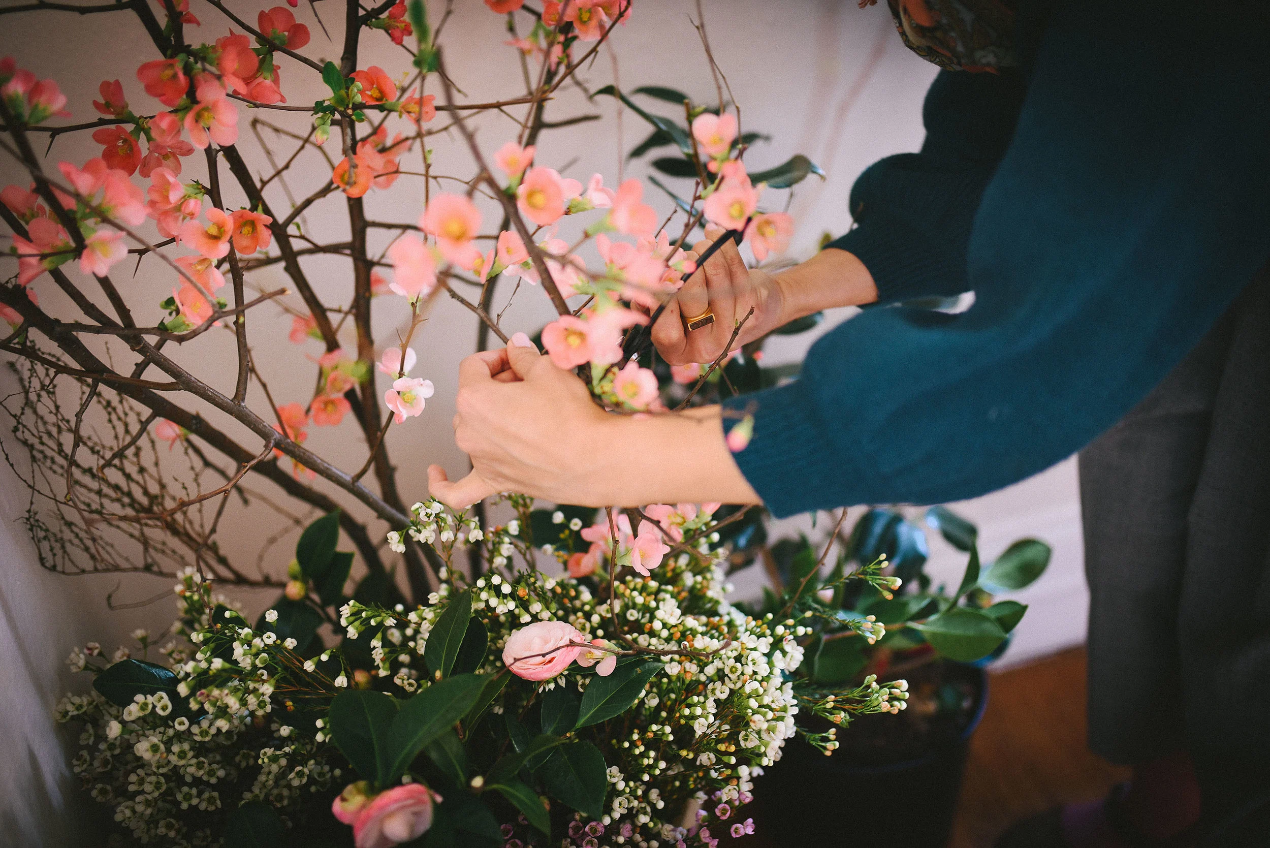 L_J_Flower_February-29.jpg