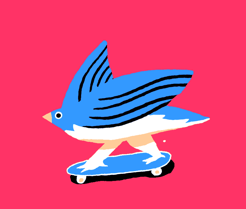 bird-gif-ronan-lynam-illustration-washington-dc-beer-art-collective-arts.gif