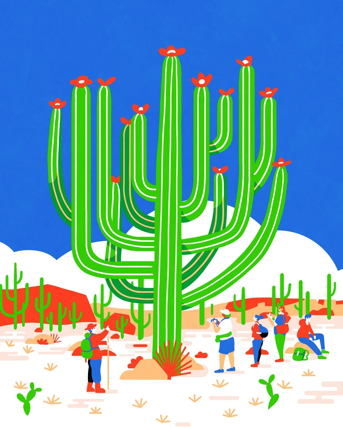 CACTUS-desert-CLEAN-ronan-lynam-2025.jpg