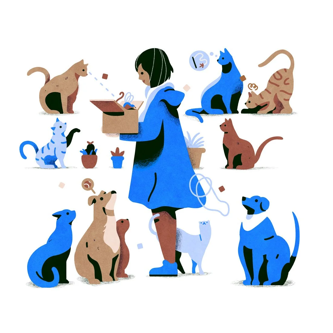 feeding-cats-dogs-taking-care-of-others-pets-Ronan-Lynam-2025.jpg