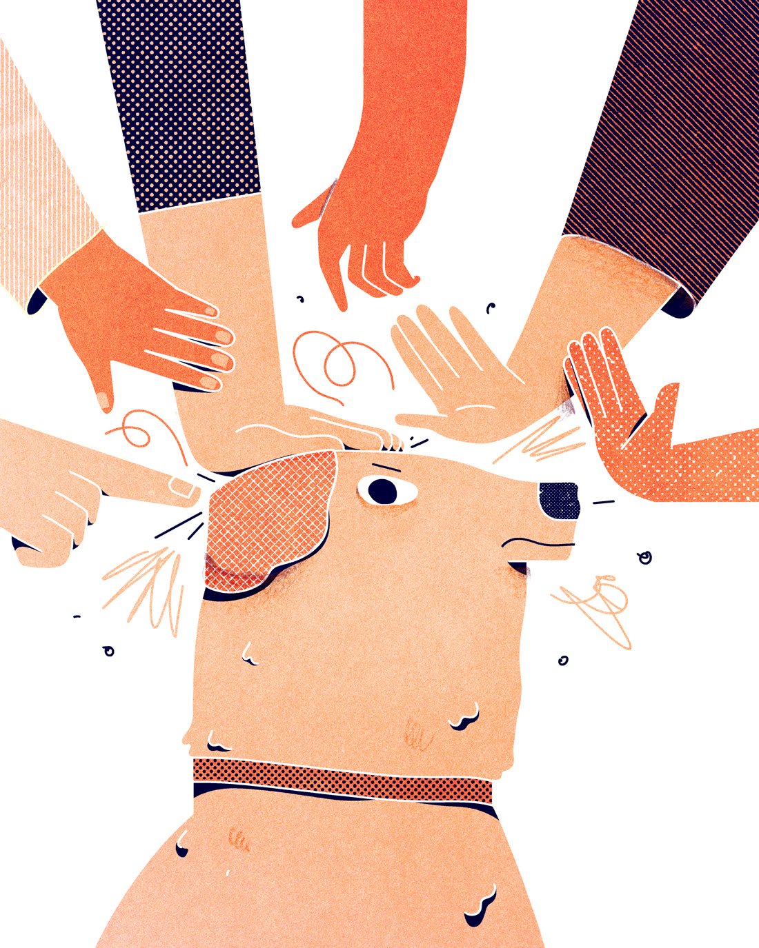 dog-petting-hands-head-Ronan-Lynam.jpg