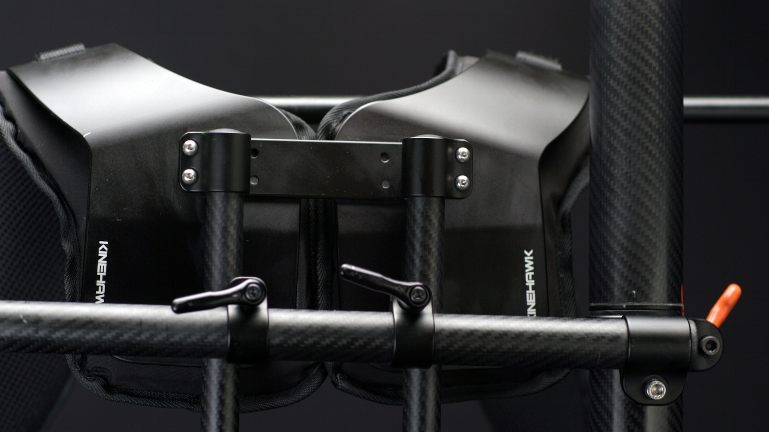 Shoulder plates.jpeg