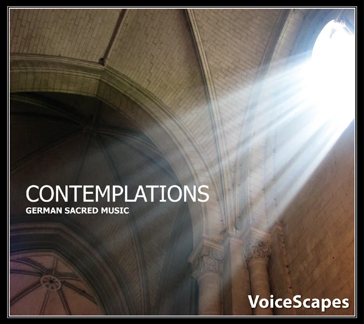 Voicescapes - Contemplations