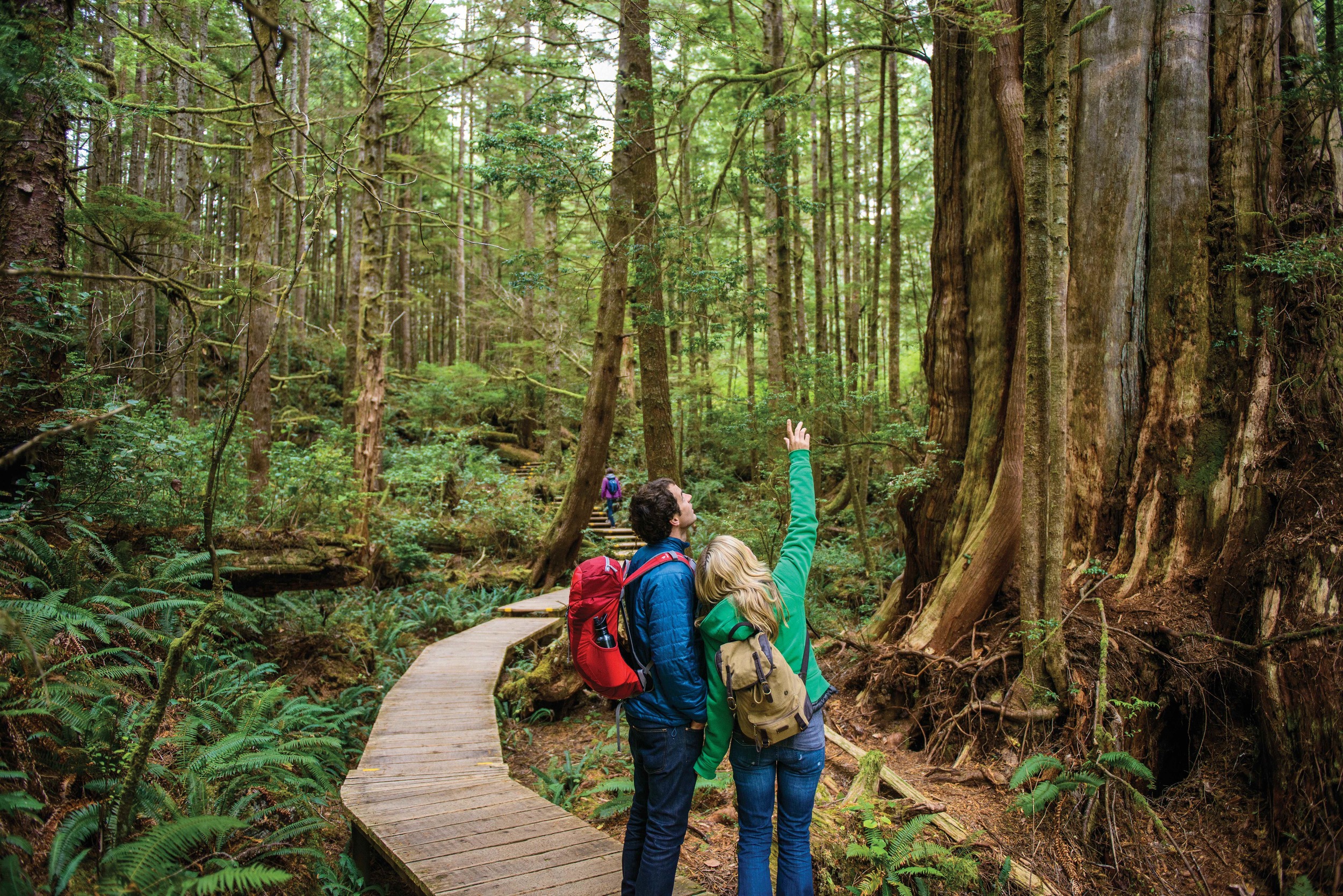 Clayoquot Sound (BC, C-B)