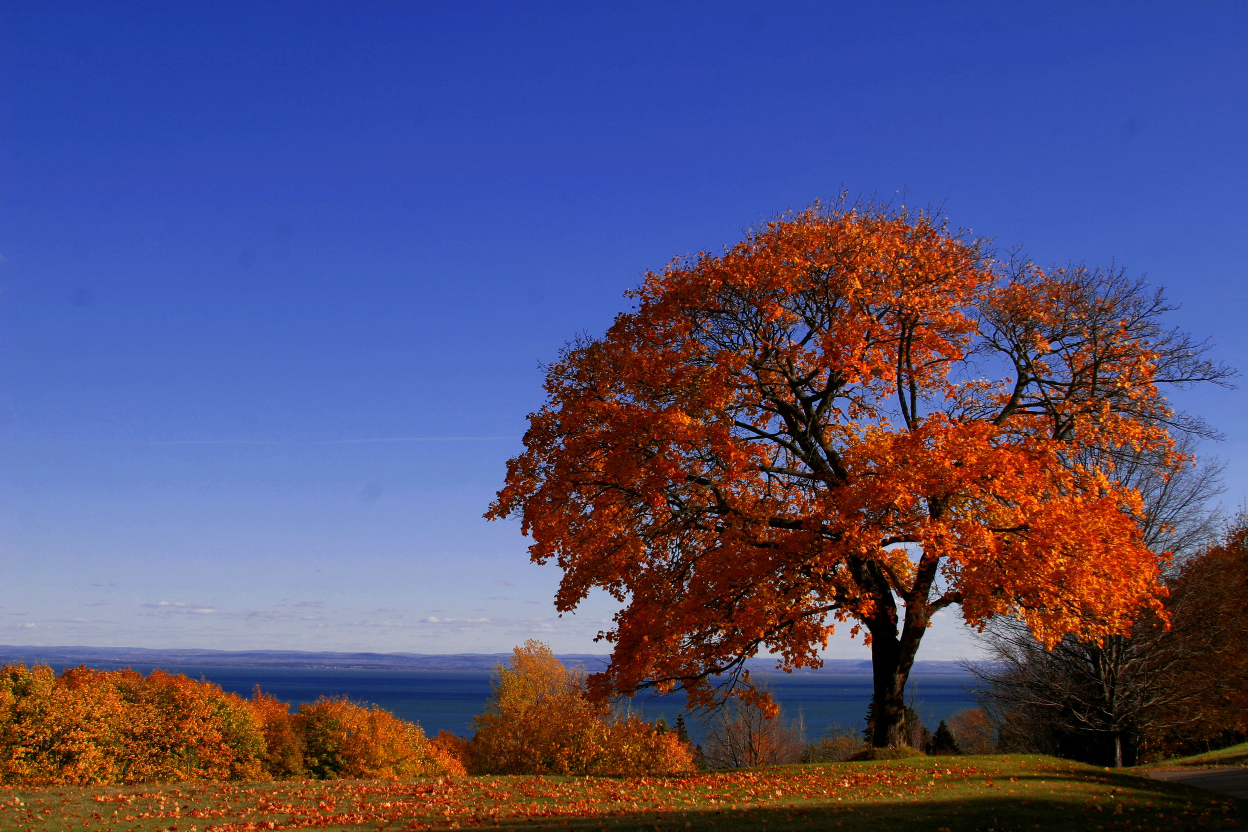 Charlevoix (QC)