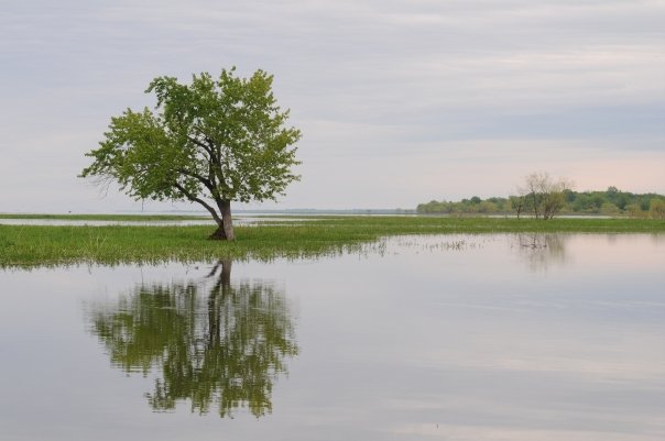 Lac-St-Pierre (QC)