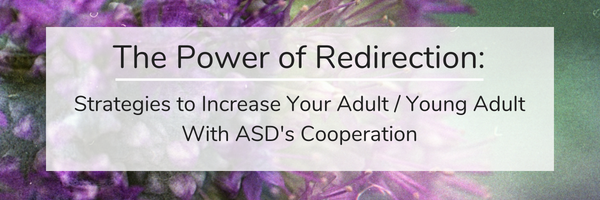 The Power of Redirection_.png