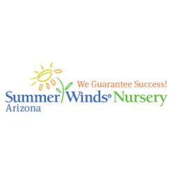 summer winds.png