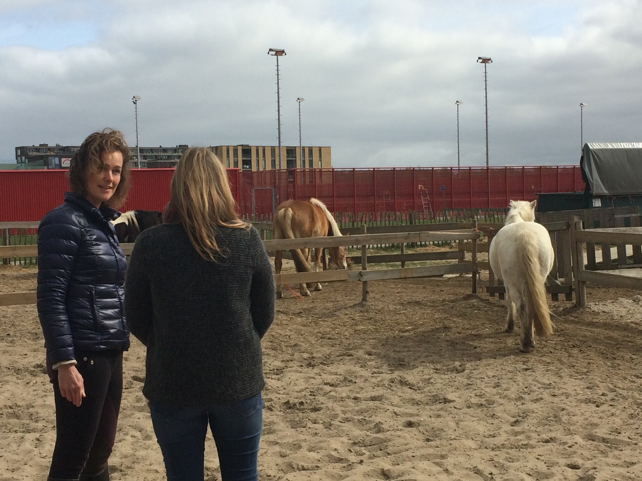 Paardencoach Fabienne Kootstra For Essence Amsterdam