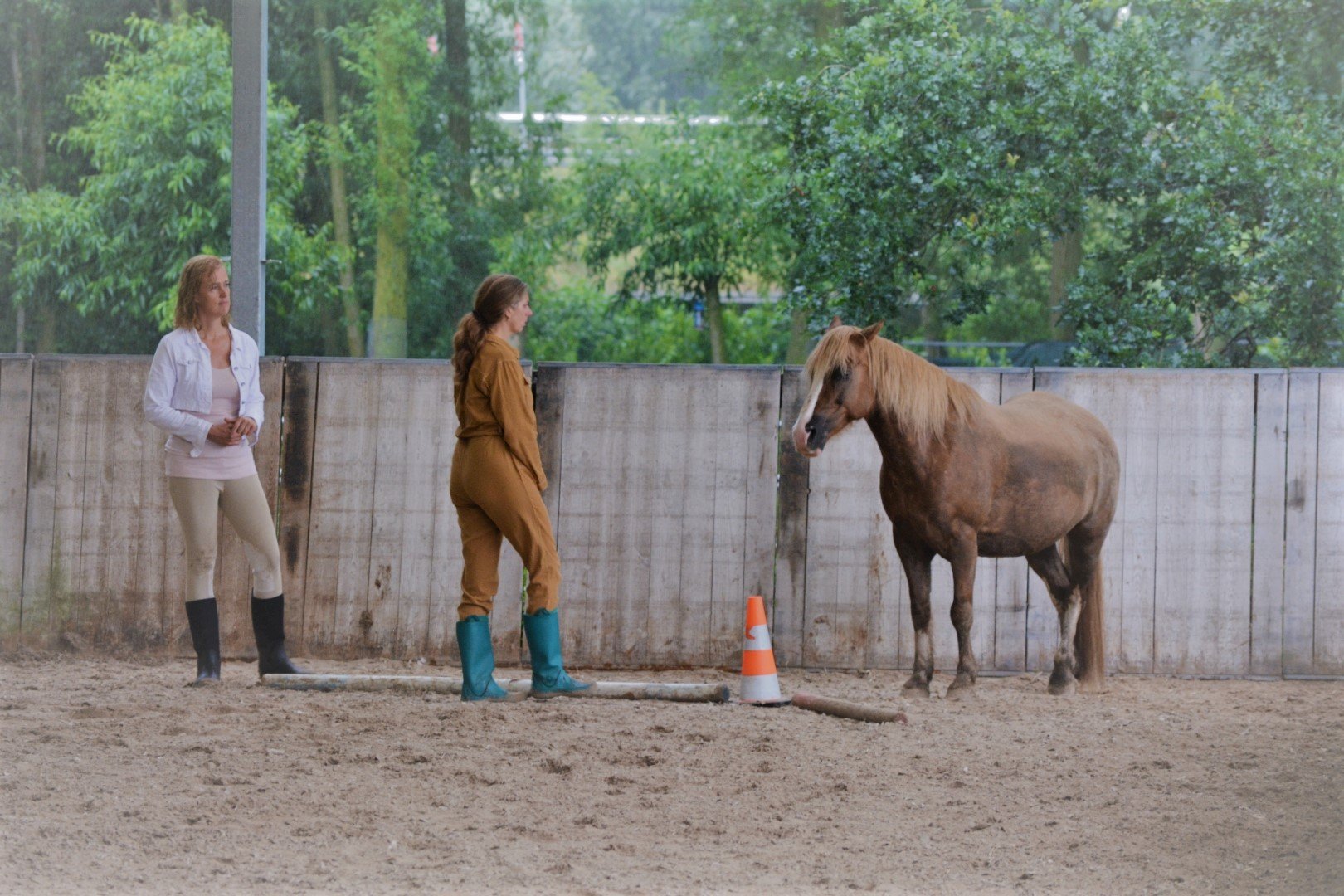Coaching met paarden - PaardencoachingHSP coaching Traumaverwerking Emotieregulering Fabienne Kootstra - For Essence.jpg