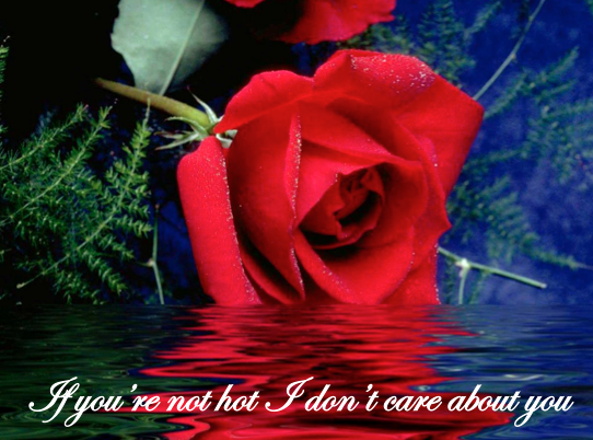 screen-shot-2013-07-17-at-7-47-36-pm.png