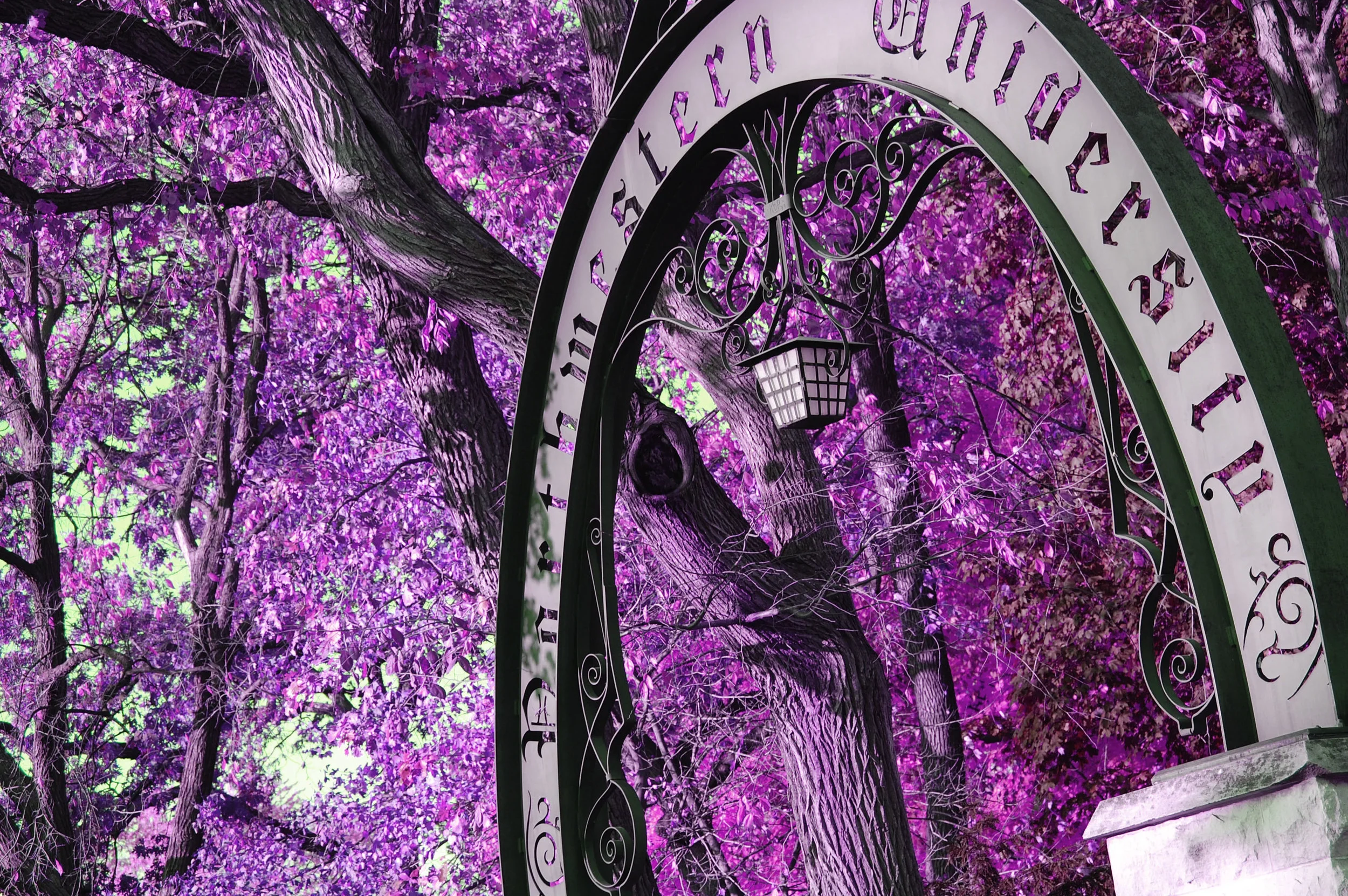 arch-purple.jpg