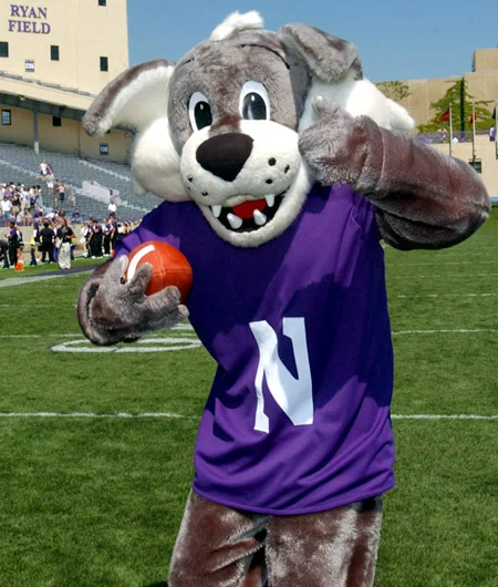 willie-the-wildcat1.jpg