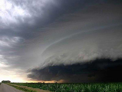 storm81.jpg