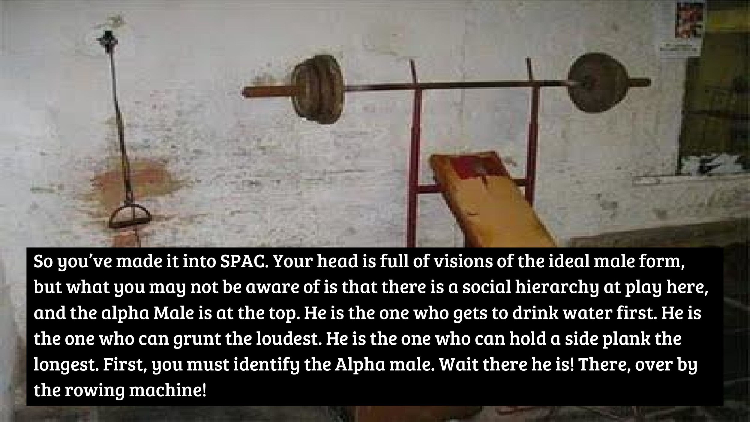 It s Time to Assert Your Alpha Male Status at SPAC-page-002.jpg