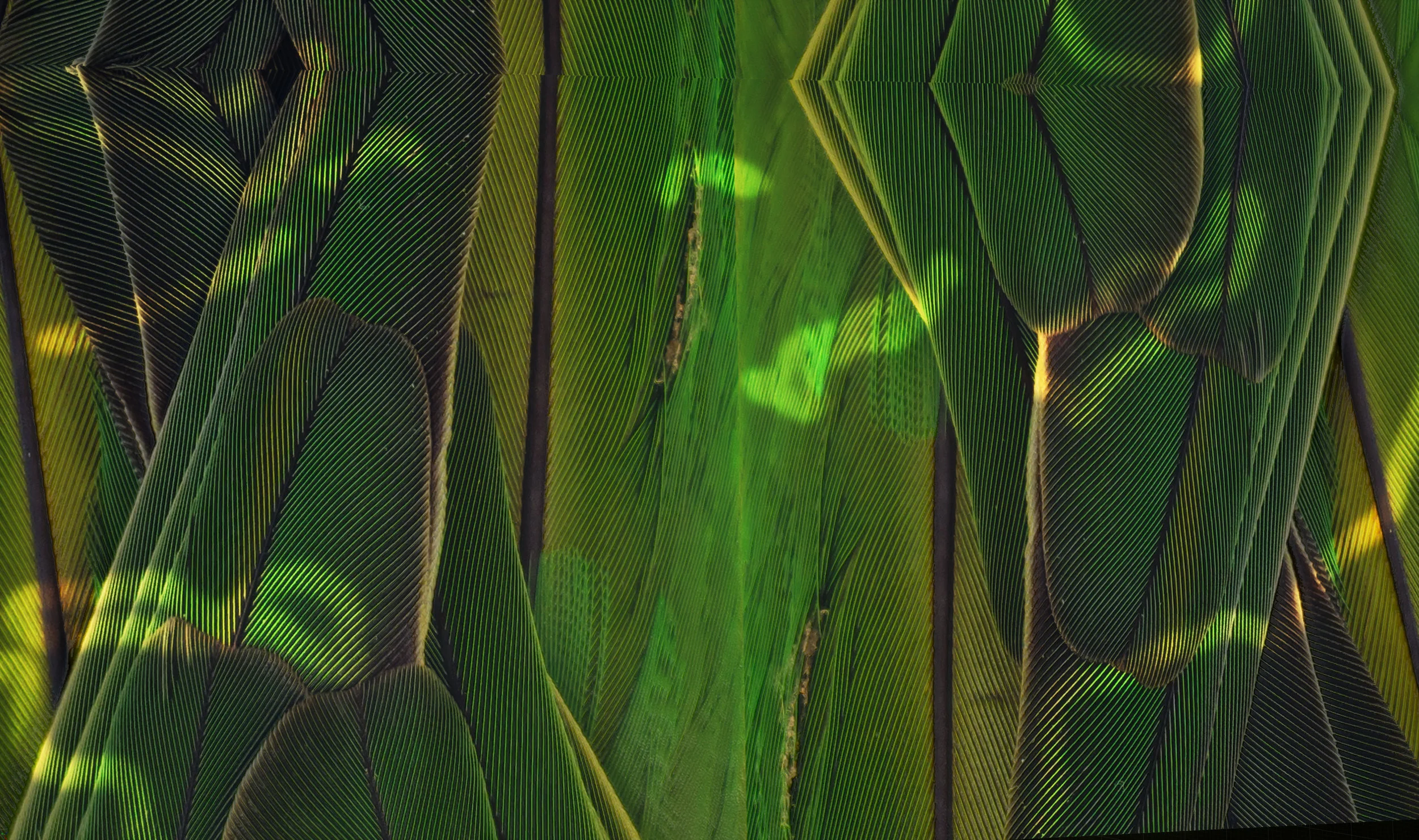 8.texture2 copy.jpg