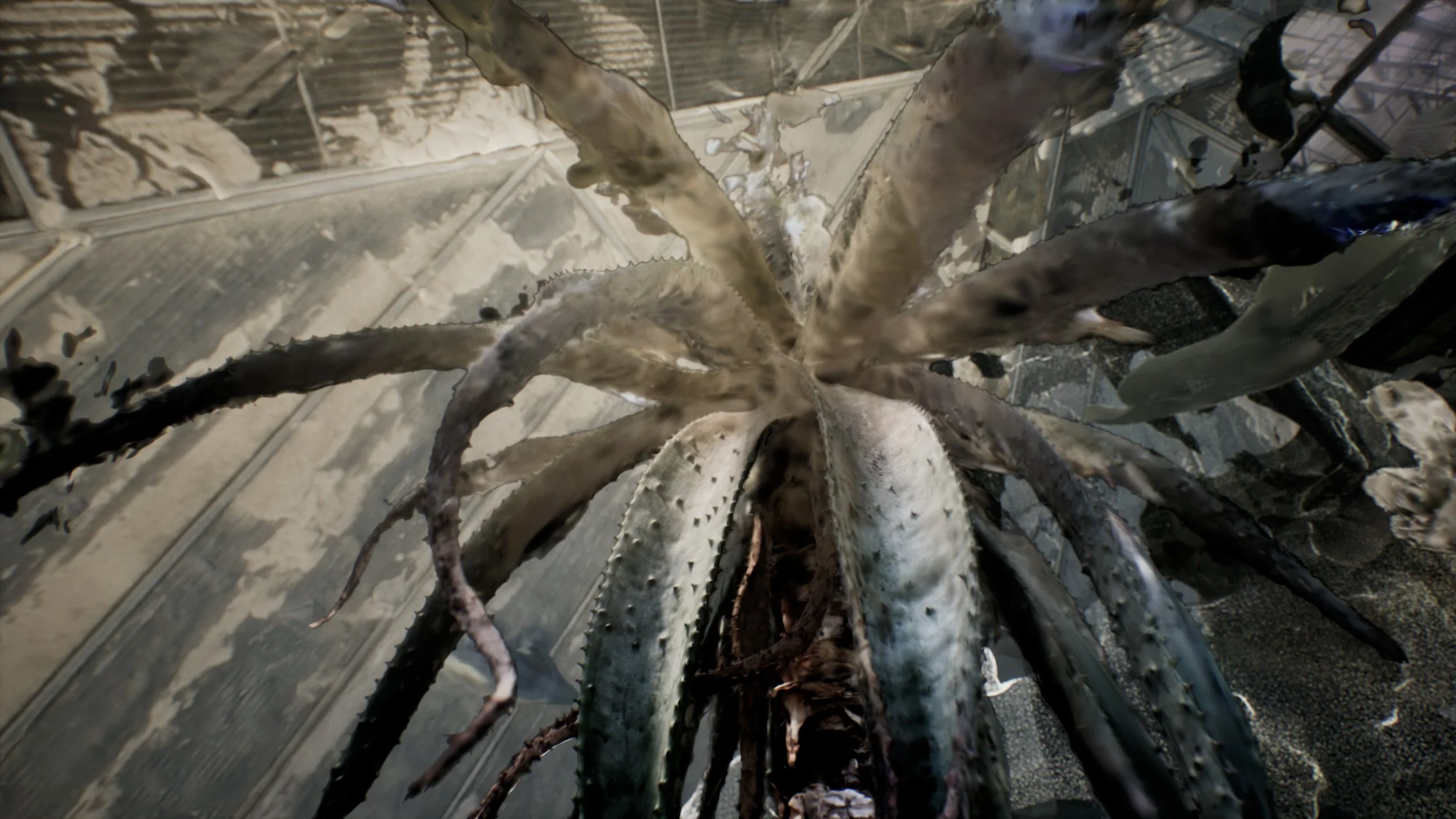 Jakob Kudsk Steensen, Wetland (stills), 2026. Courtesy of the artist.