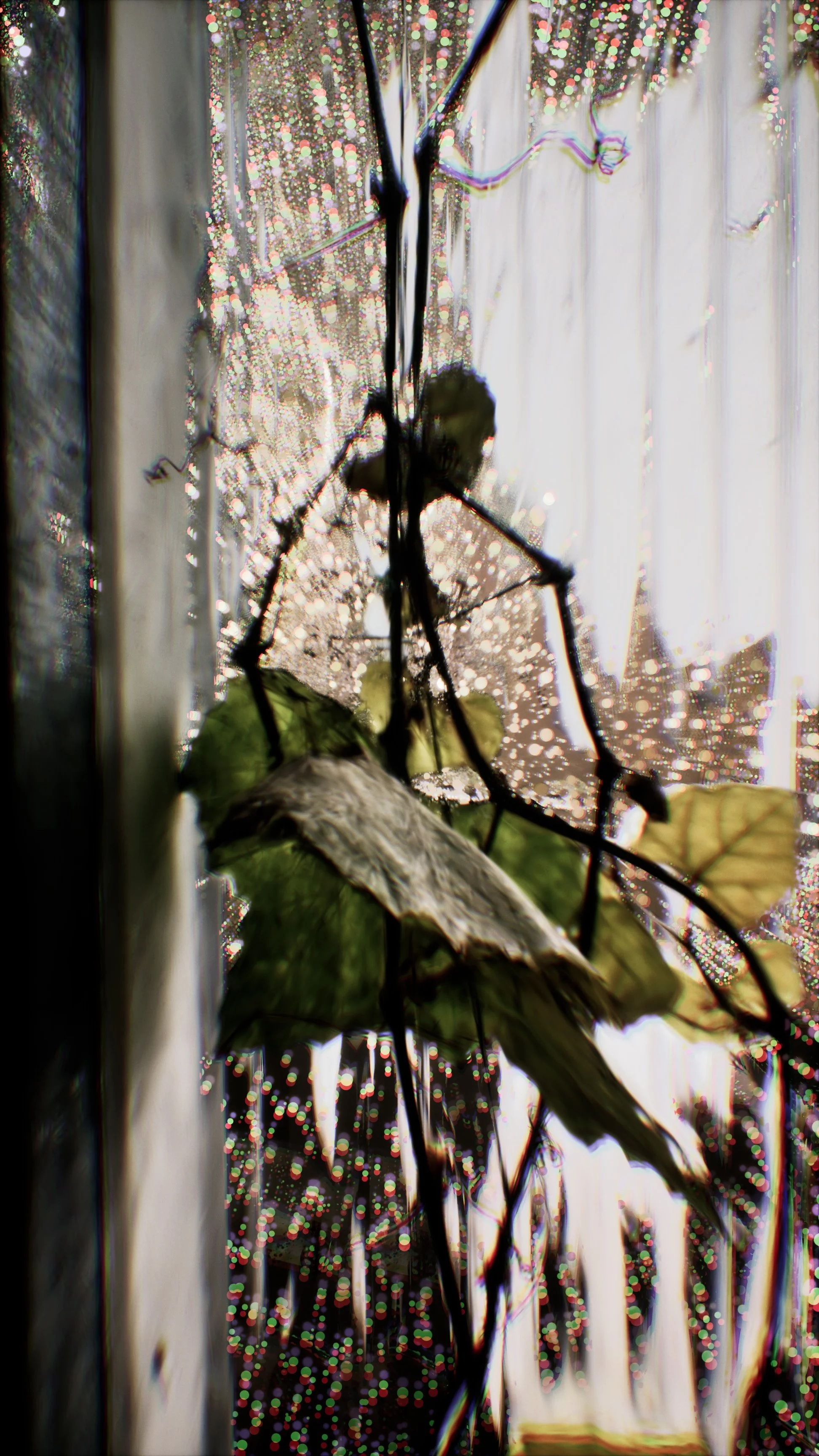 5_Veiny_Crawler (0-19-23-22).jpg