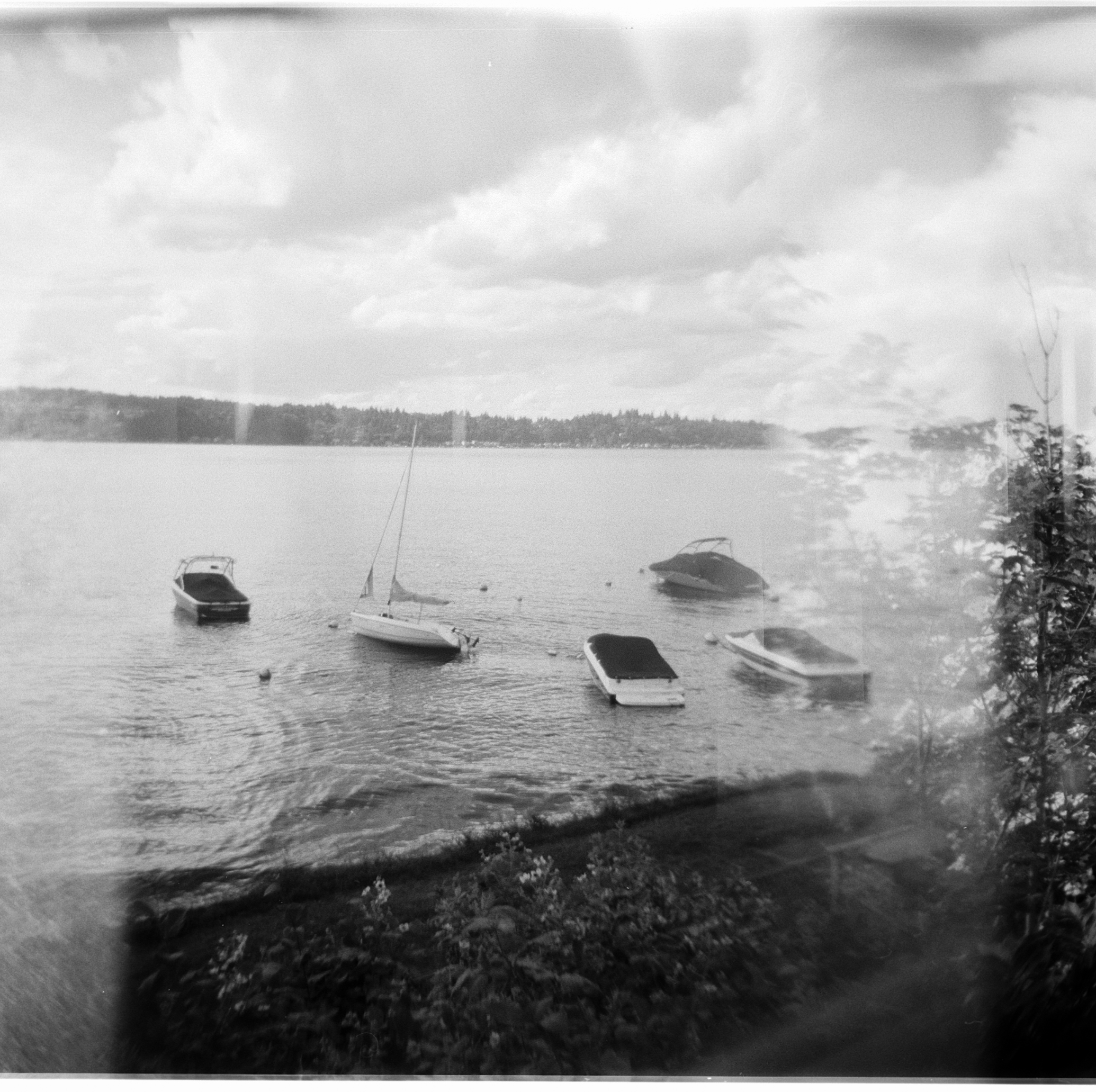 Holga S 6-14-2018 6.jpg