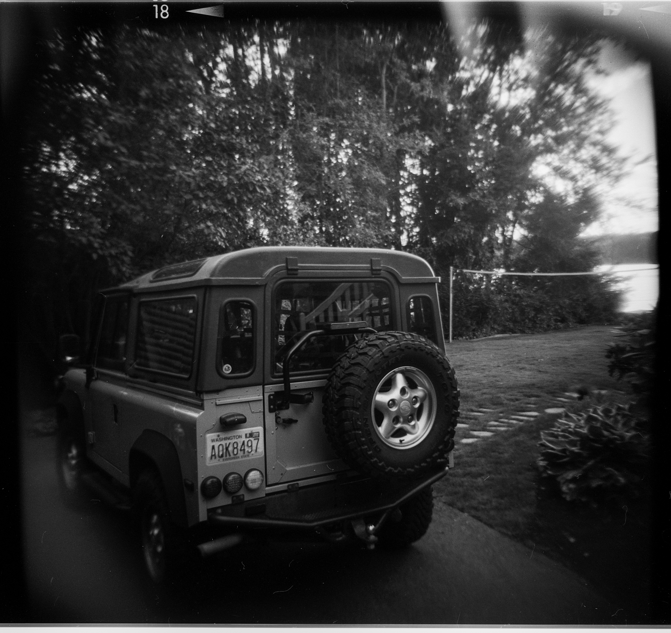 Holga S 6-14-2018 12.jpg