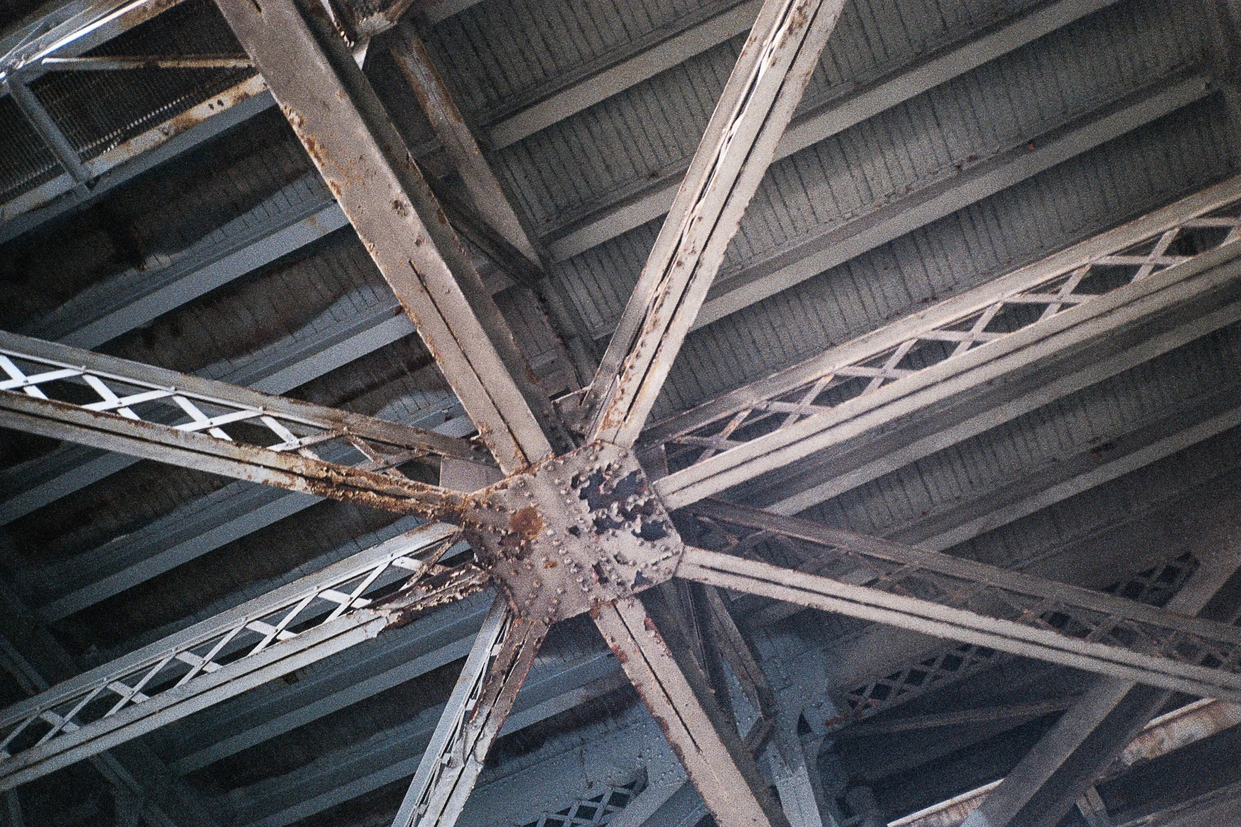 2023-10-13 Contax T2 Fujicolor 100AA021.jpg