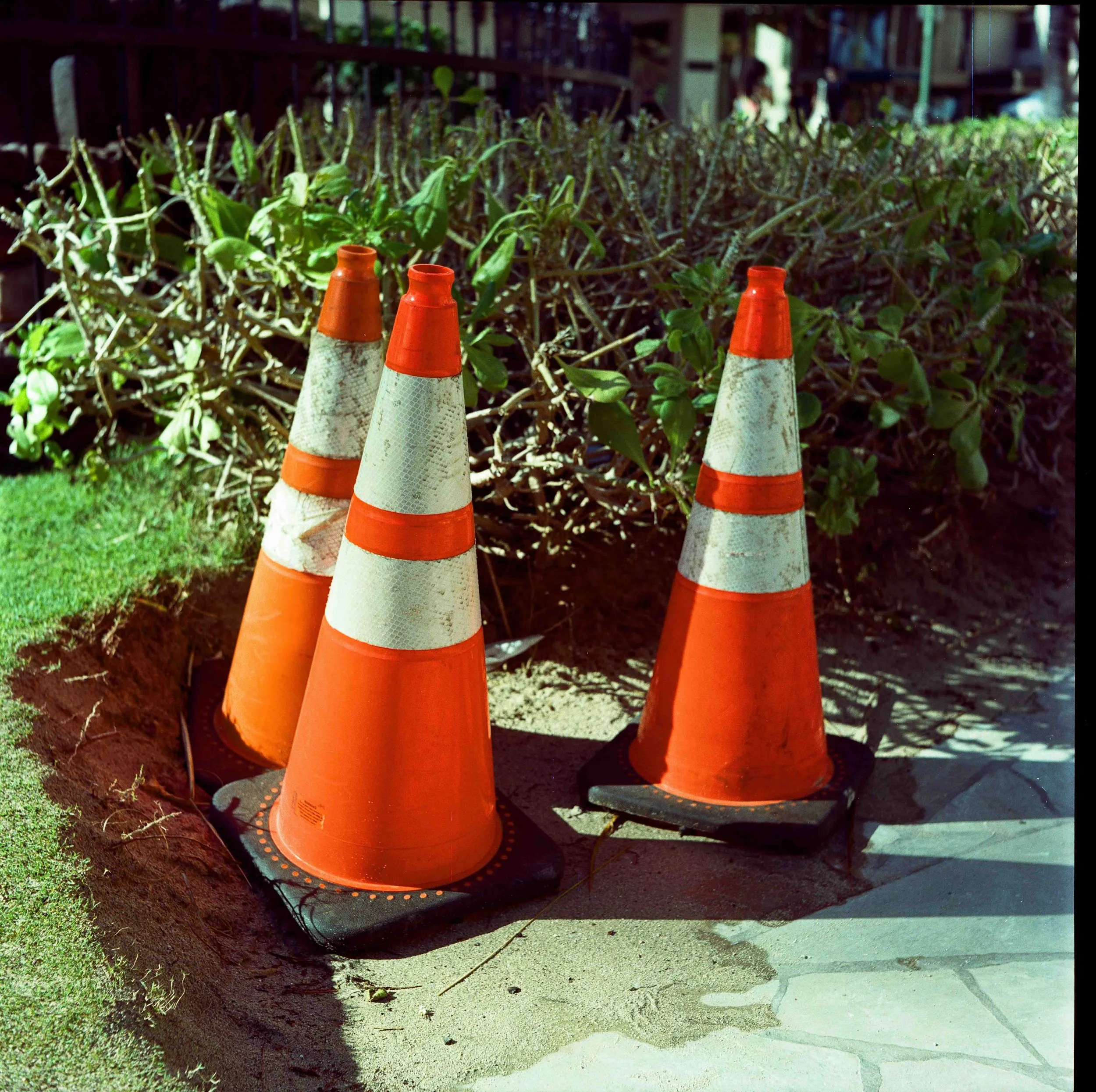 Autocord-1.jpg