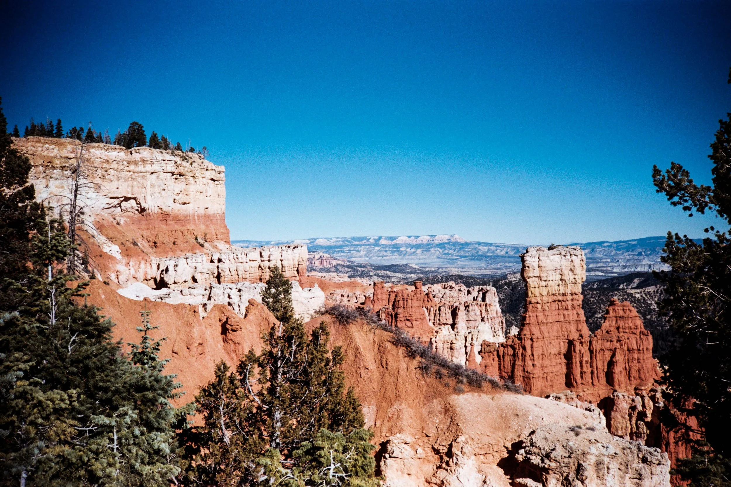 Lomo MC-A-4.jpg