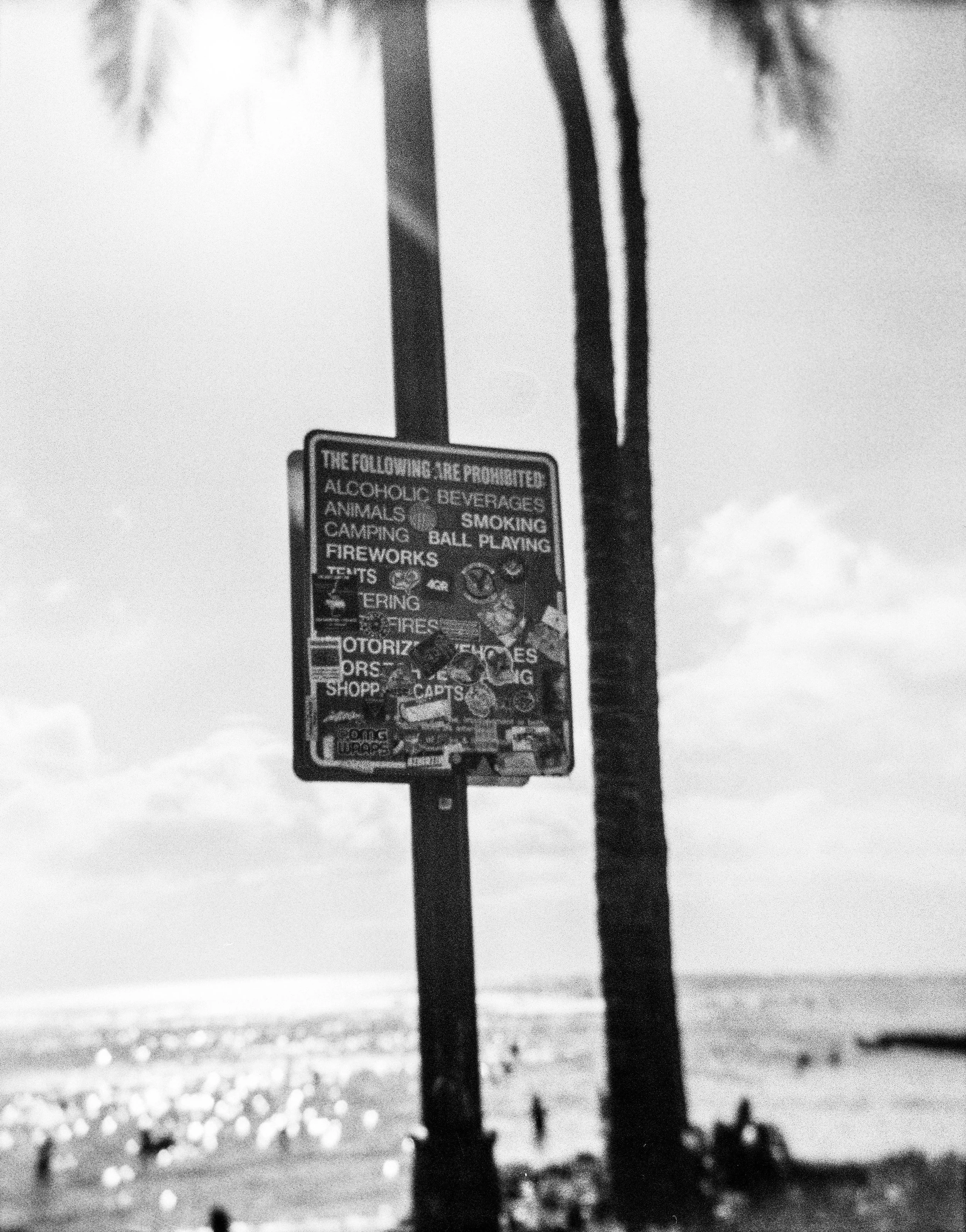 HOLGA Sunrise 3.jpg