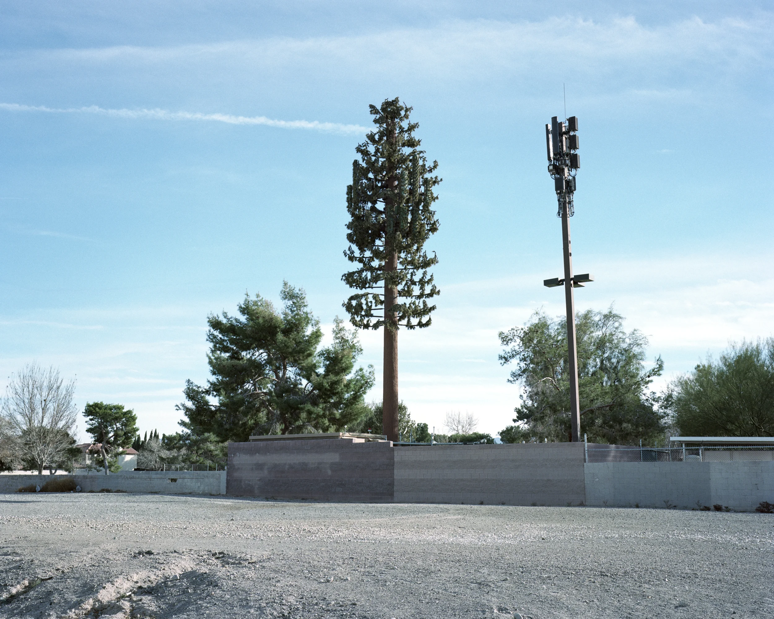 Untitled , 2015