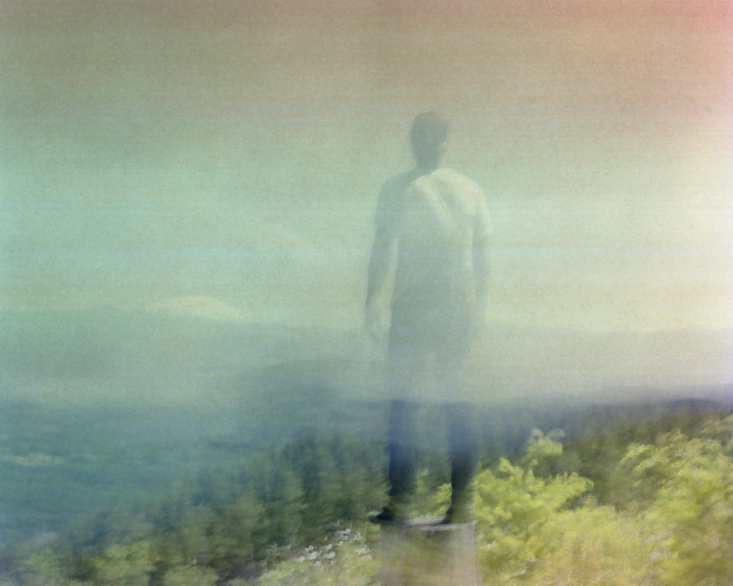 Untitled , 2019