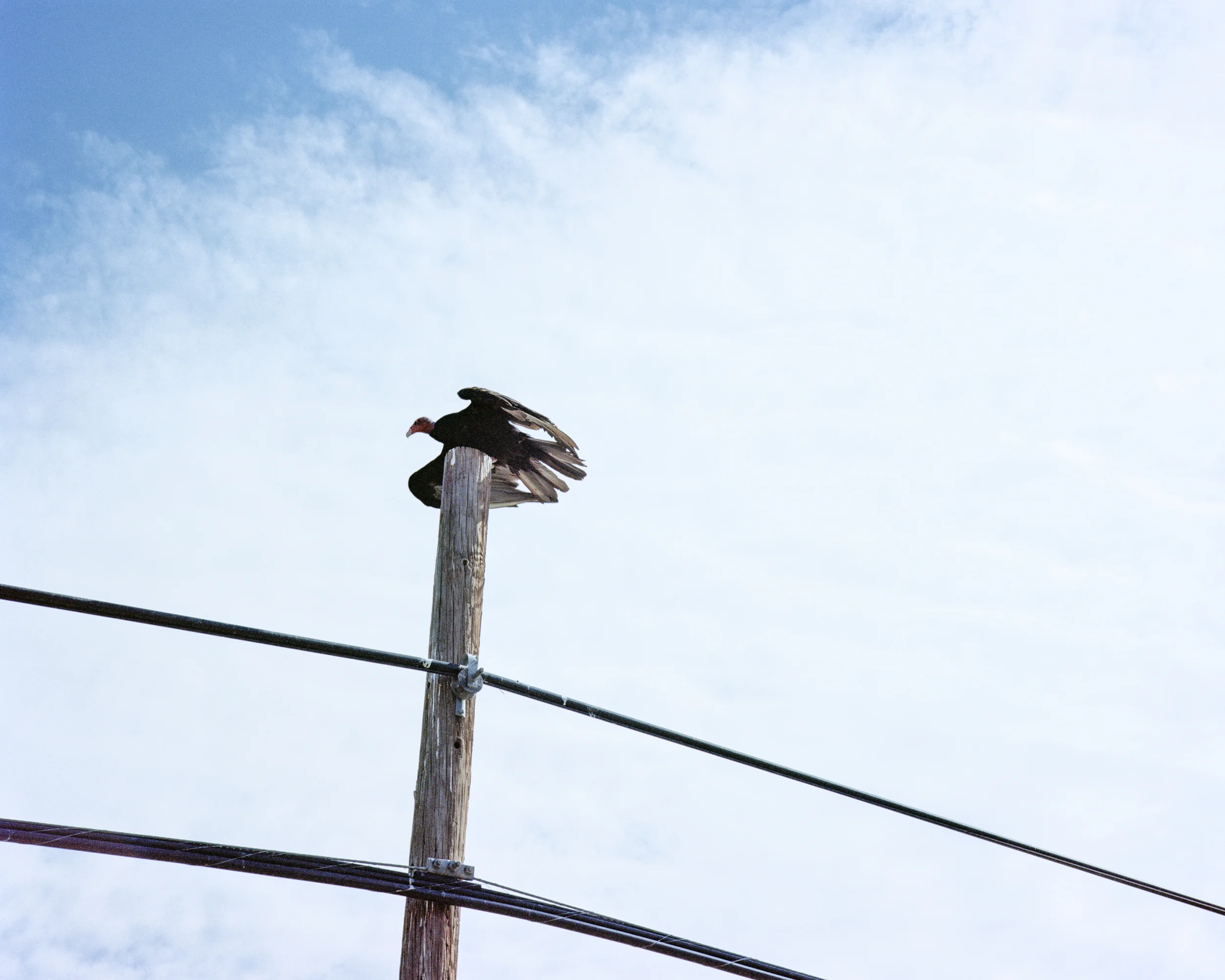 Eye In The Sky , 2016