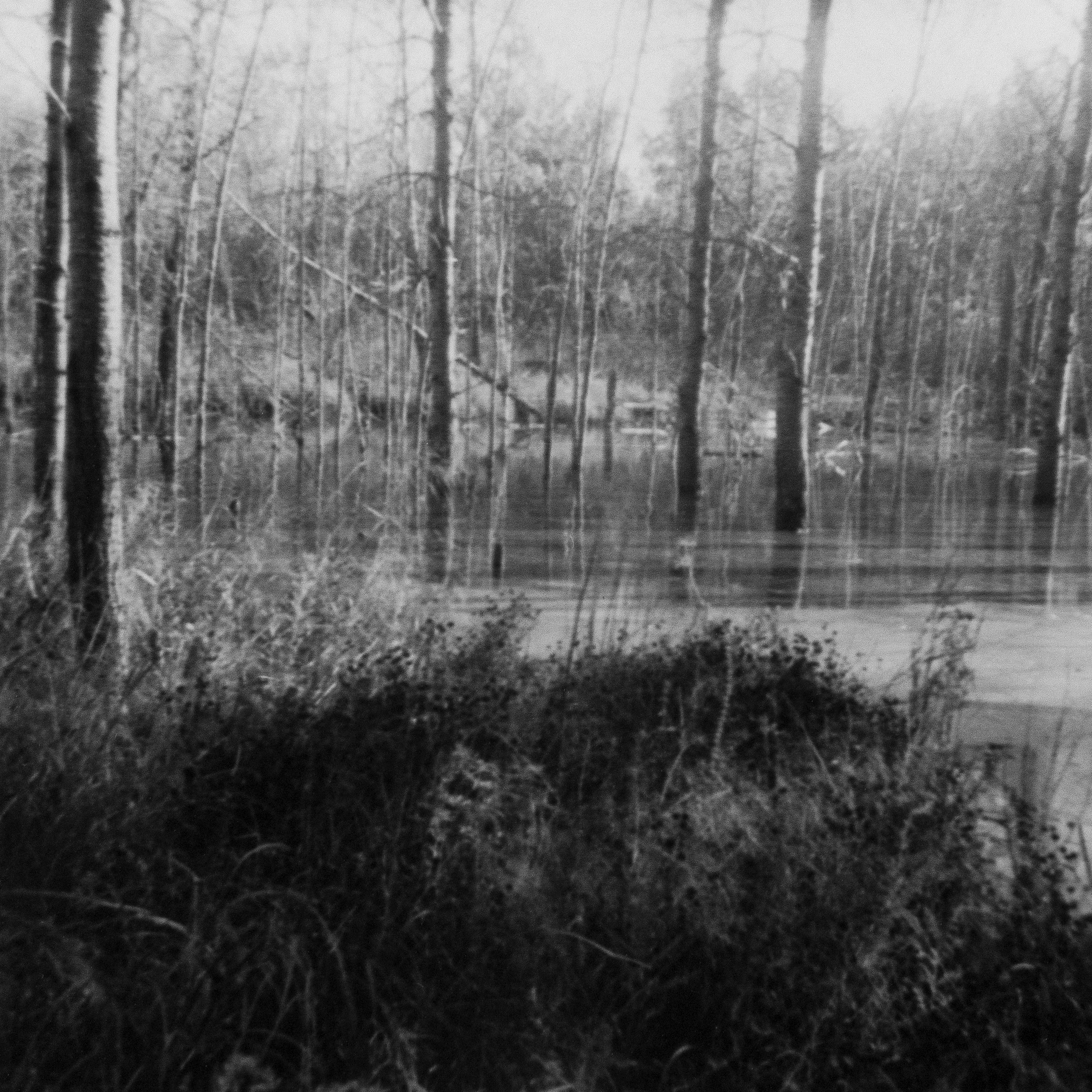    The Pond  , 1977 