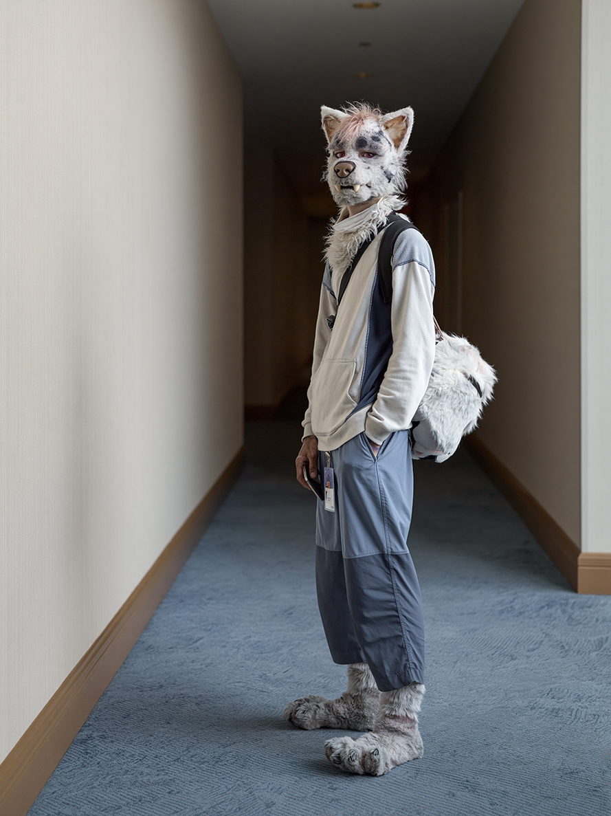  Furry , 2026 