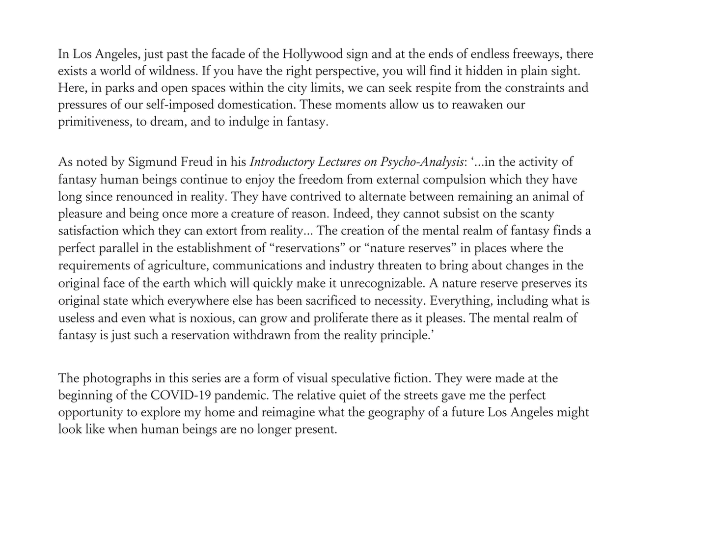 ArtistStatement_AFuturePrimitive_TEMPLATE_MATCH.png