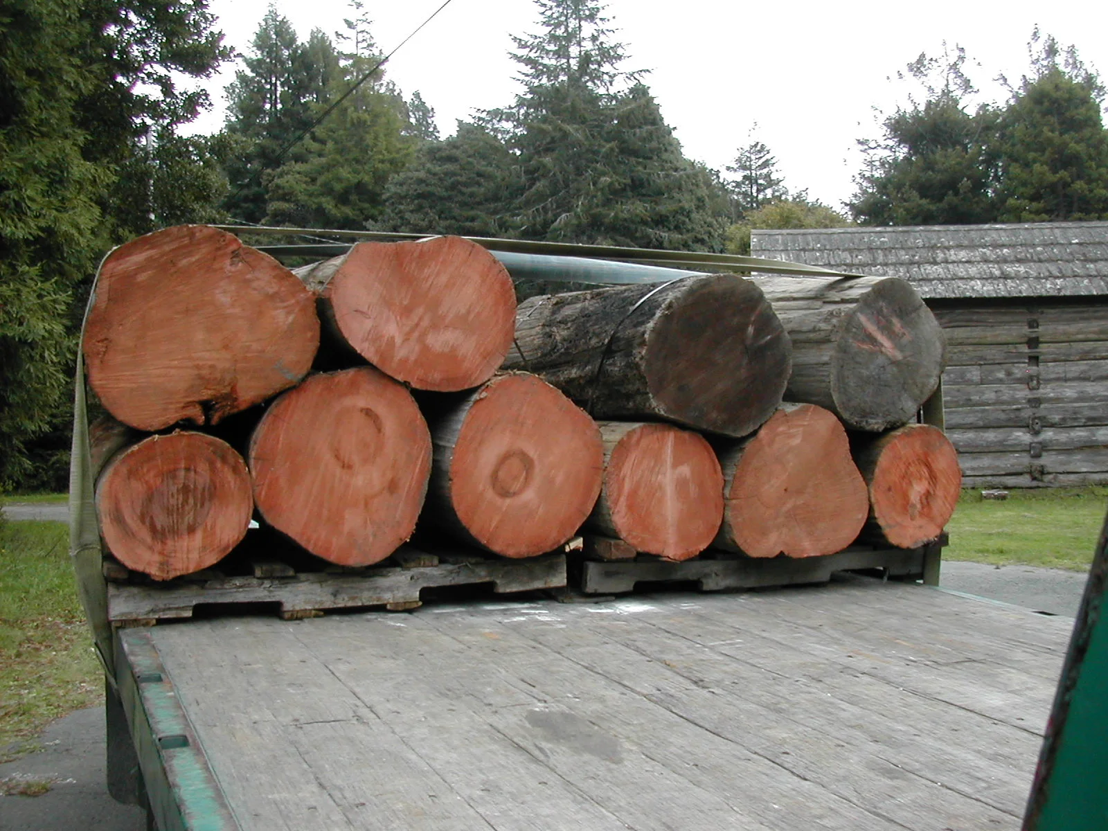 Logs3.jpg