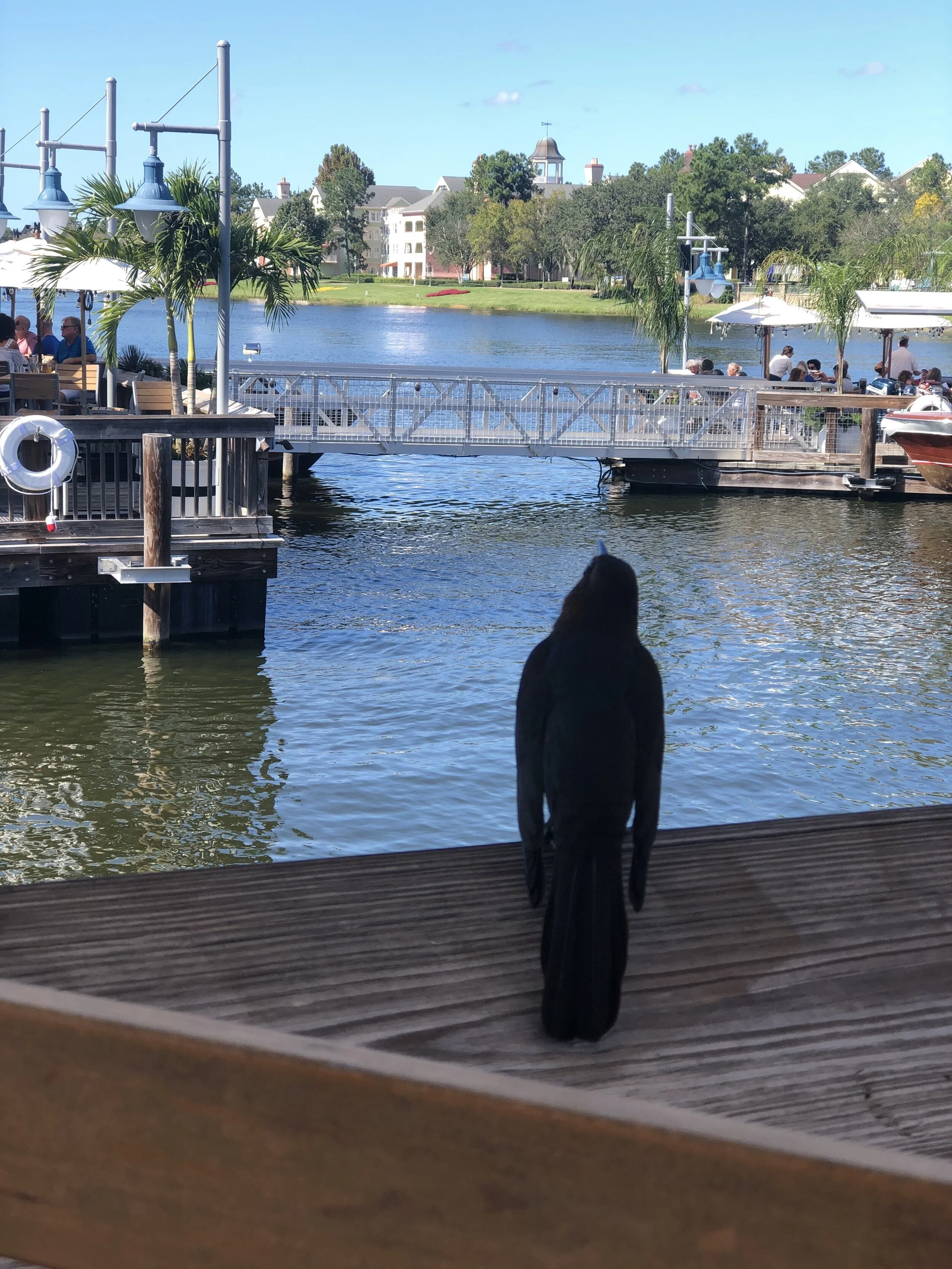 Sabbath, I Should Take One