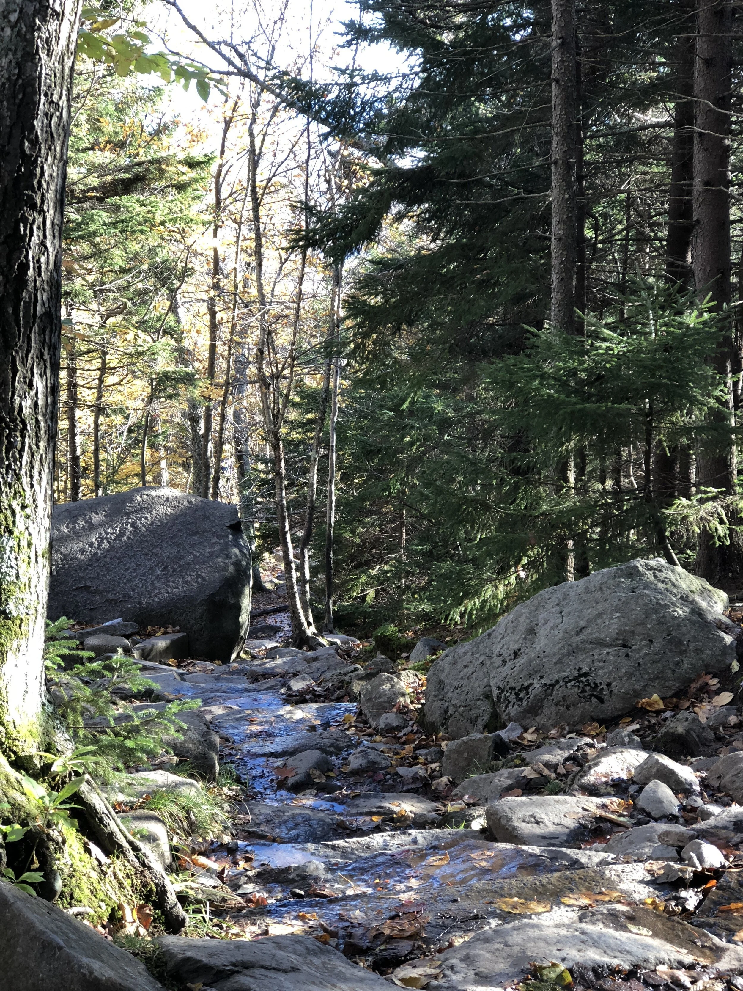 "Sabbath" - Mark Fesmire