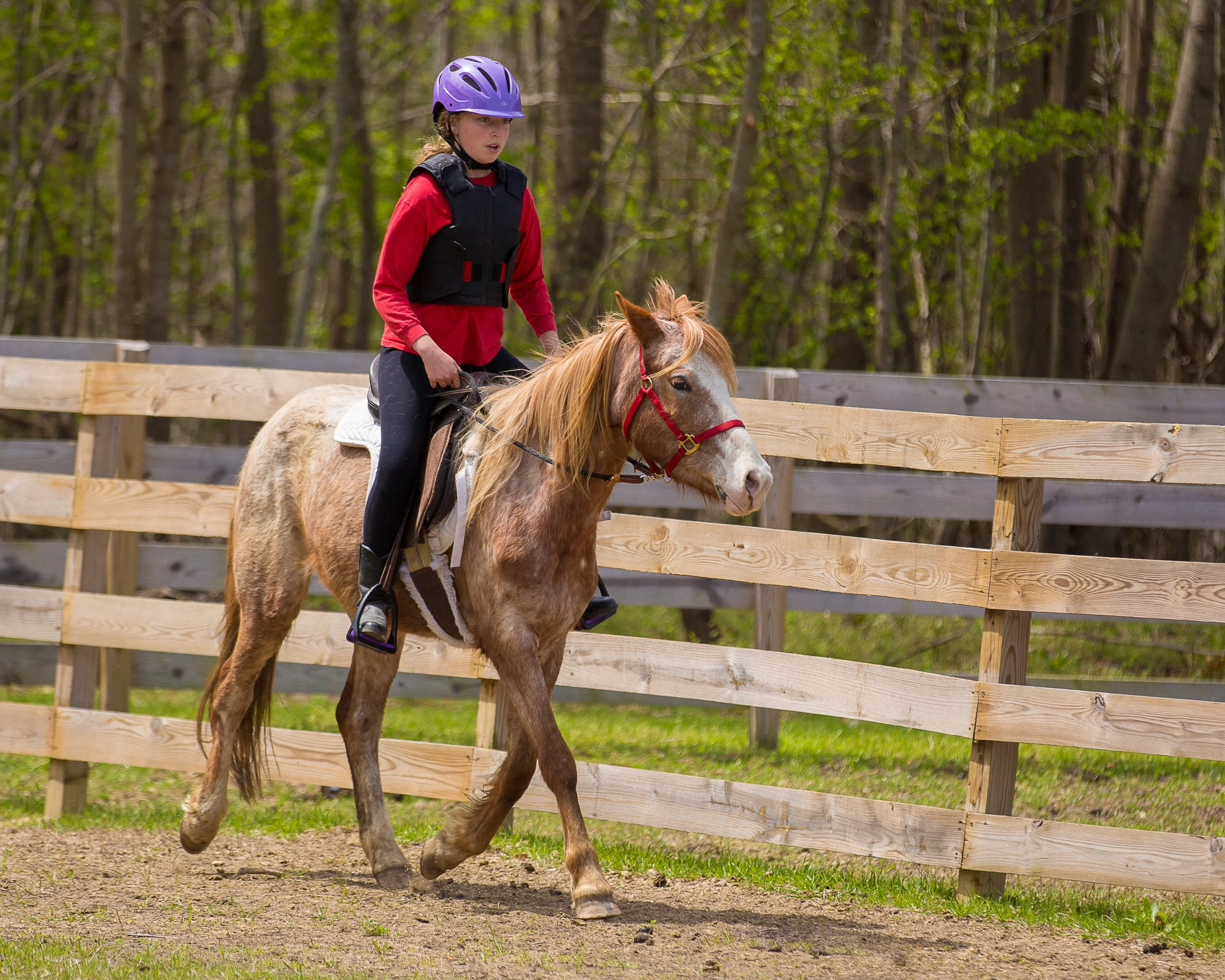 Riding as relationship